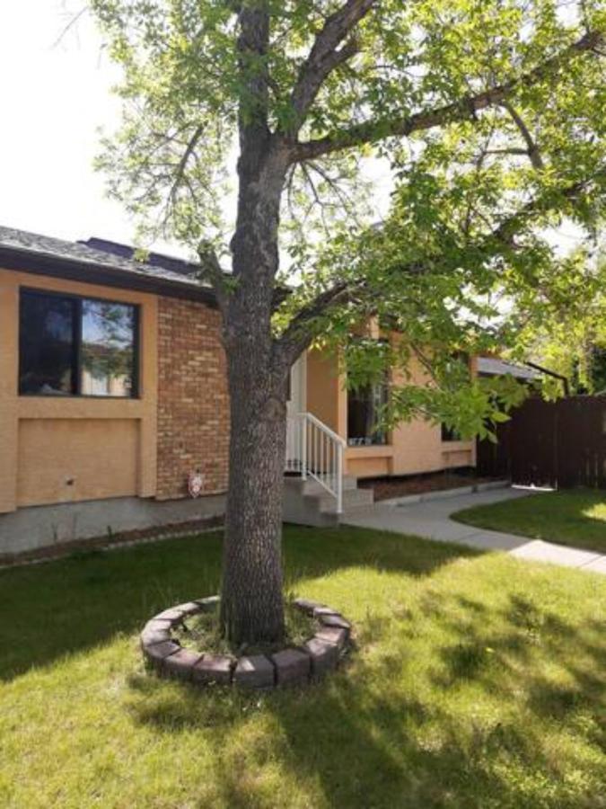 Cozy Home With Comfortable Beds And Fully Equipped Kitchen 15 Mins Drive From Airport, Downtown, Sait And U Of C And 80 Min Drive To Banff Калґарі Екстер'єр фото